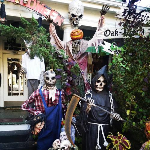 Halloween Oakwood 06